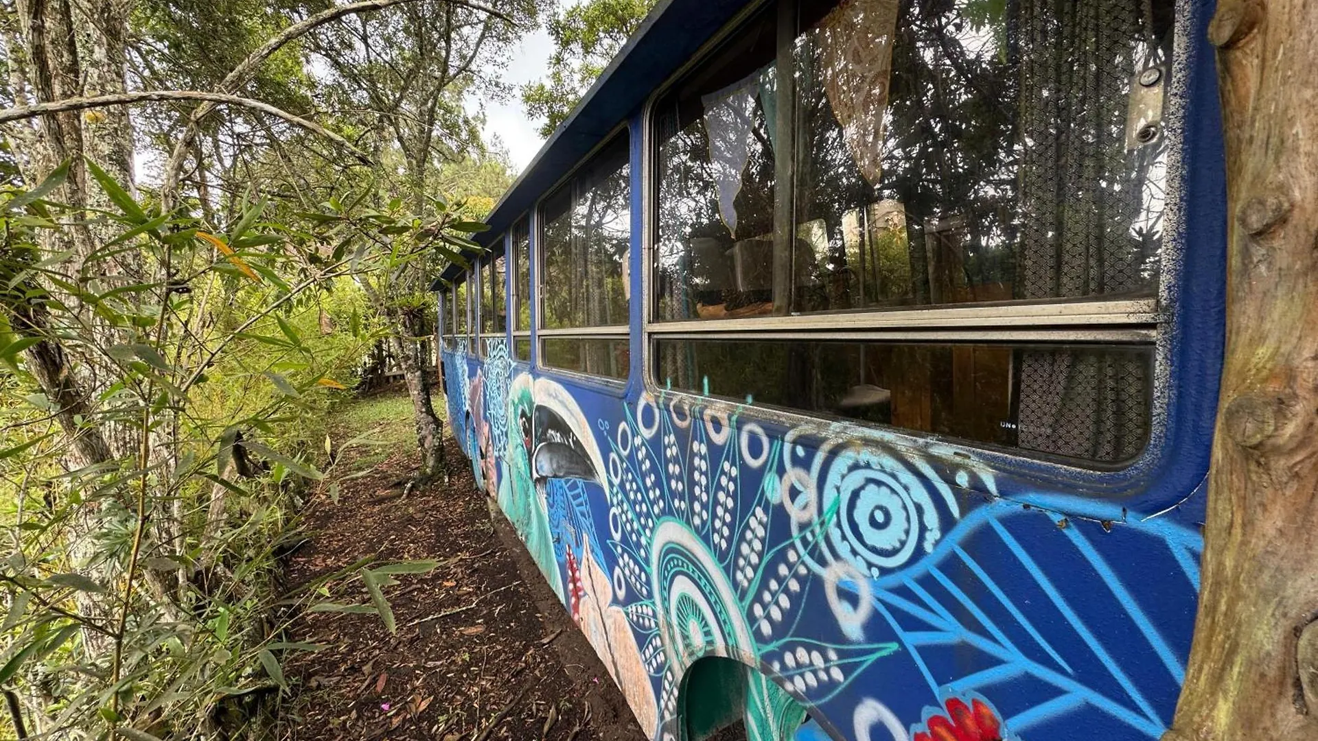 El Bus Del Bosque Otel Medellín Kolombiya