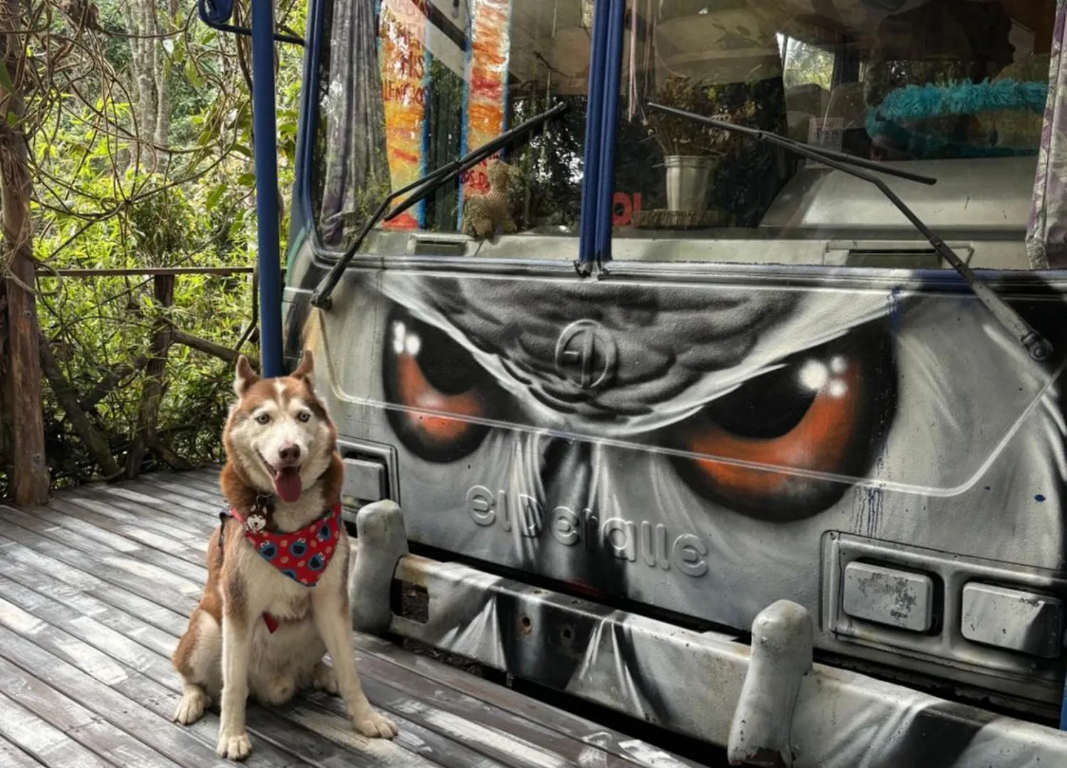 El Bus Del Bosque Hotel Medellin Colombia